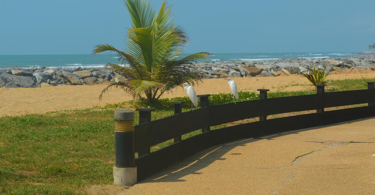 Elmina Bay Resort Eksteriør bilde